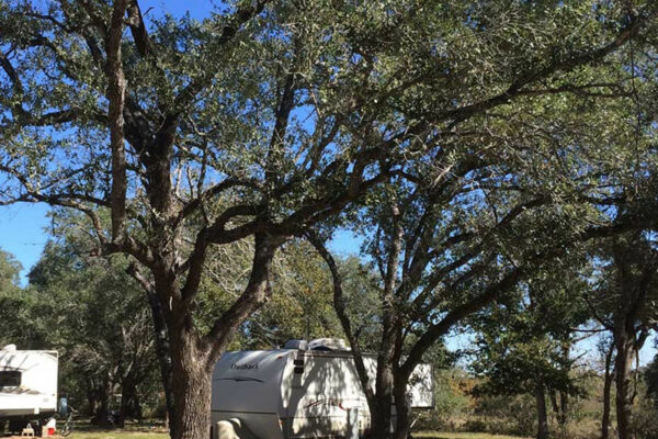 RV-Parked-Uner-Trees-At-Our-RV-Park-In-San-Antonio